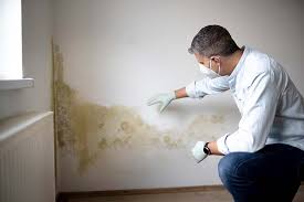 Best Commercial Mold Inspection  in Walford, IA